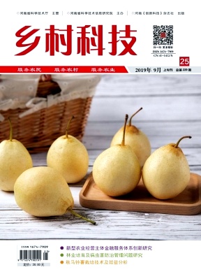 鄉(xiāng)村科技