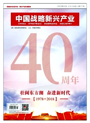 中國戰(zhàn)略新興產(chǎn)業(yè)