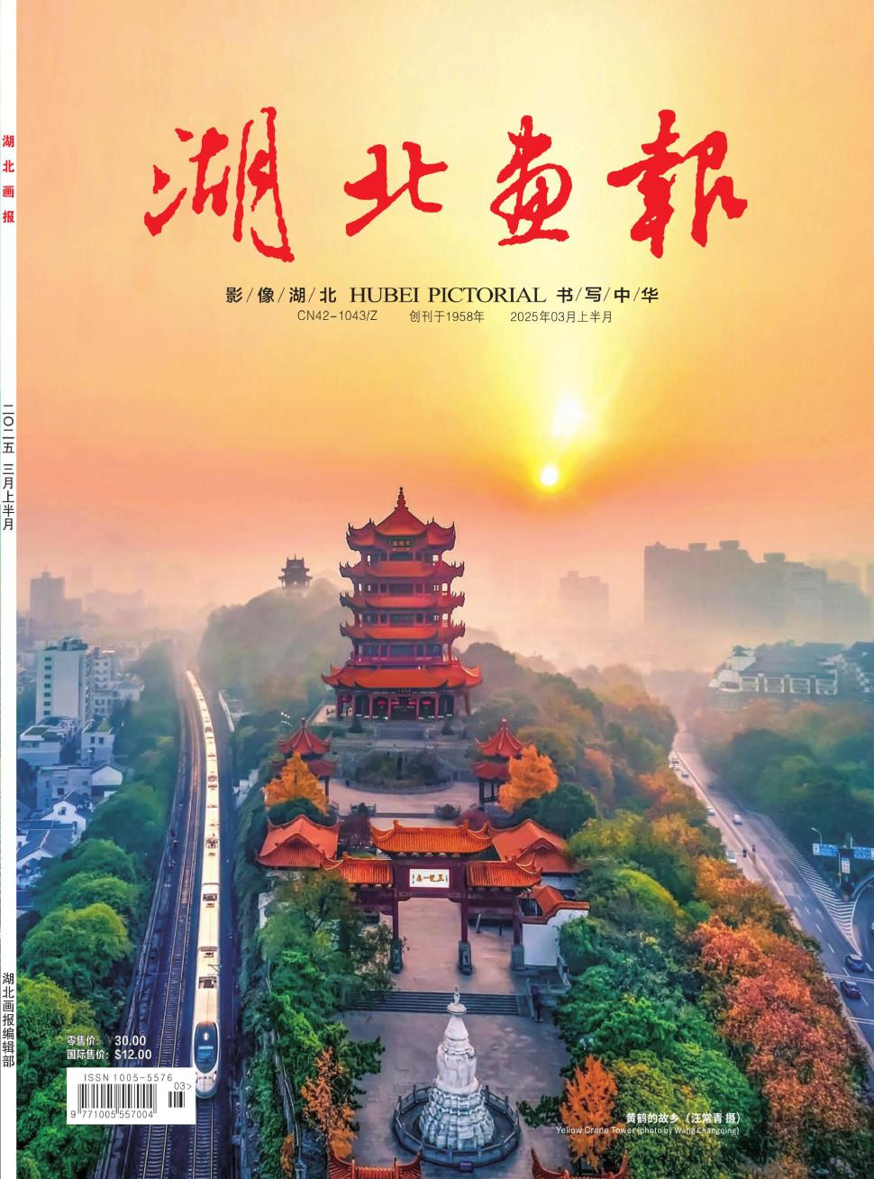 湖北畫報